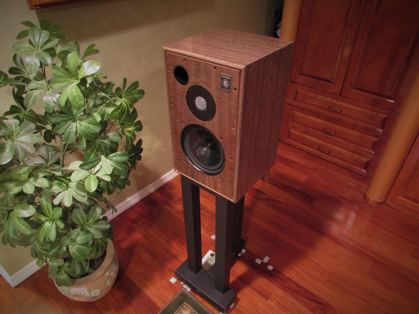 A wooden speaker beside a plant