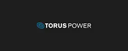 Torus Power company logo.